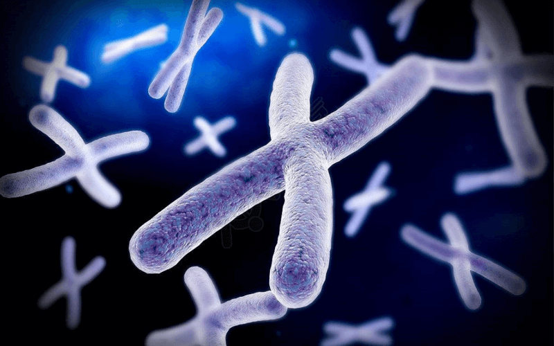 DNA筛查法检查染色体