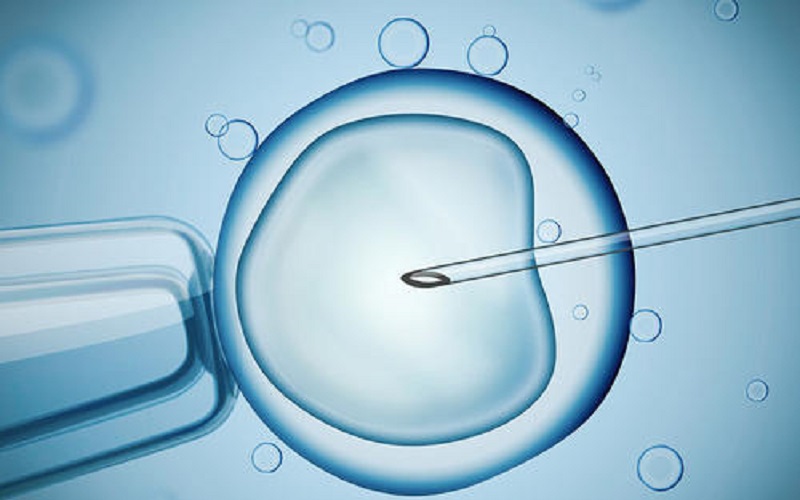 4bc囊胚移植成功率受子宫环境影响