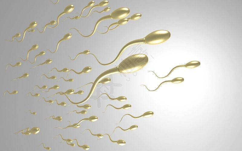精子质量会影响受孕