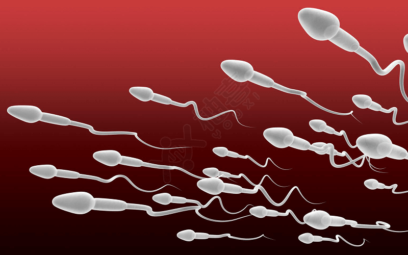 精液常规检查能详细评估精子的质量