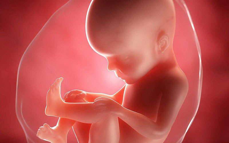 胎儿异常造成甲胎蛋白值偏低