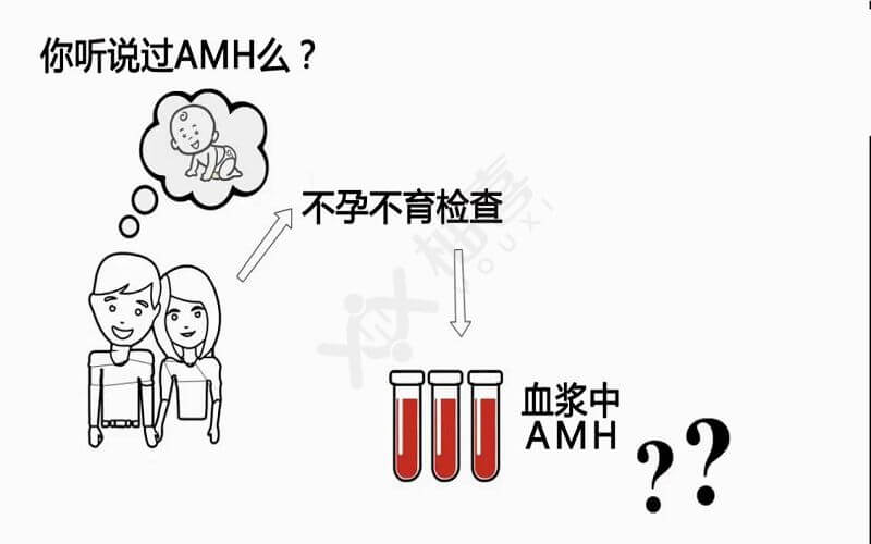 amh就是抗缪勒氏管激素