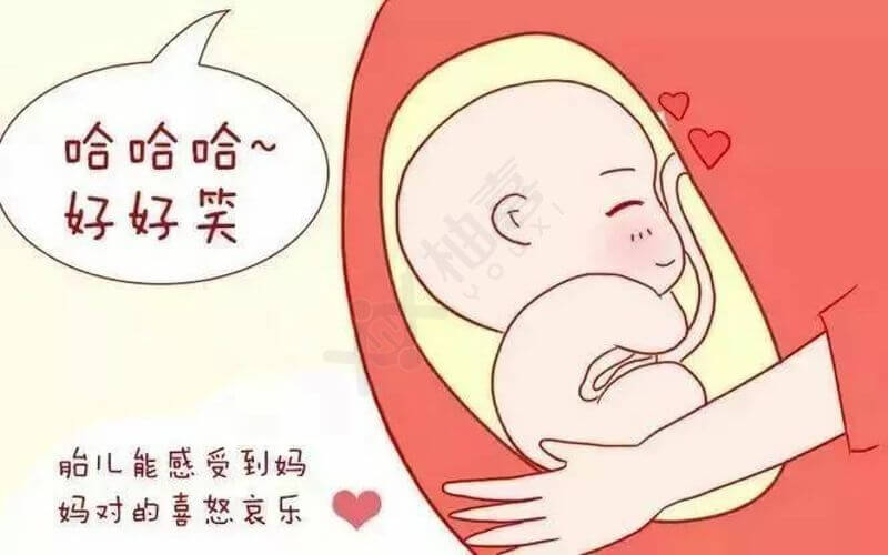 胎儿能听见妈妈讲故事