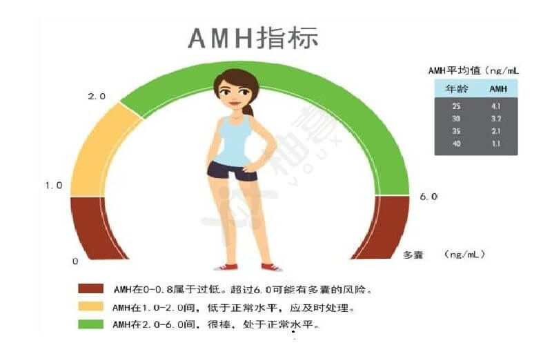 amh指数参考