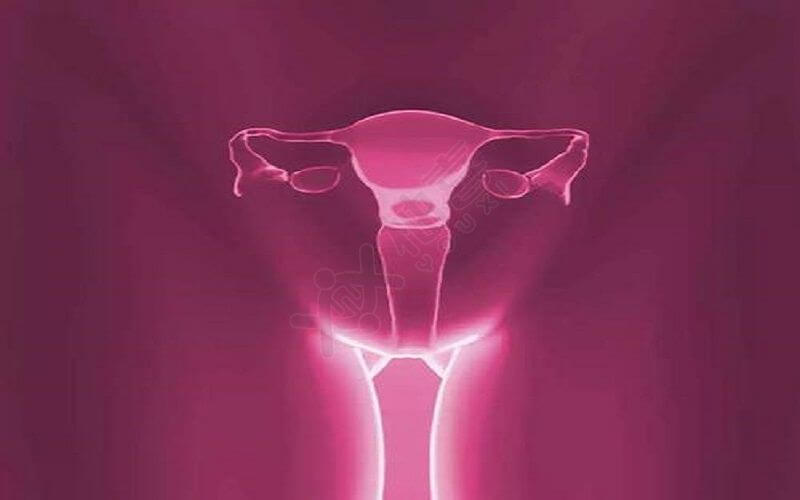 AMH低说明卵巢储备功能低