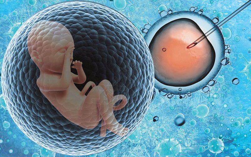 有无胚胎会影响二次试管的具体流程