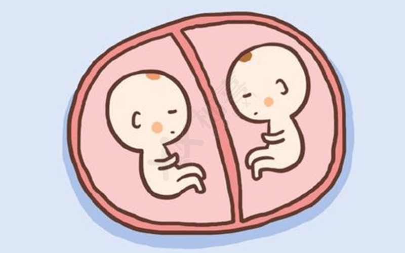 同卵双胞胎是同一个受精卵