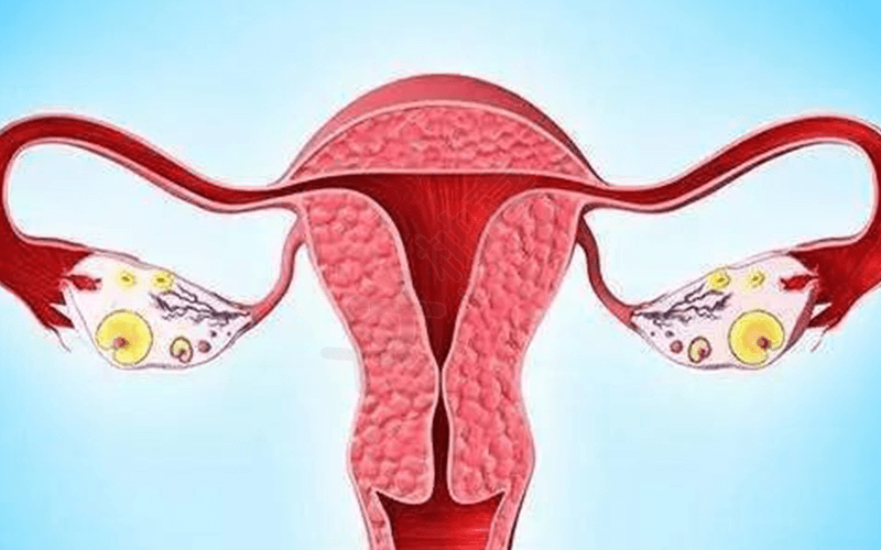 黄体期促排方案适用于卵巢功能不好的患者
