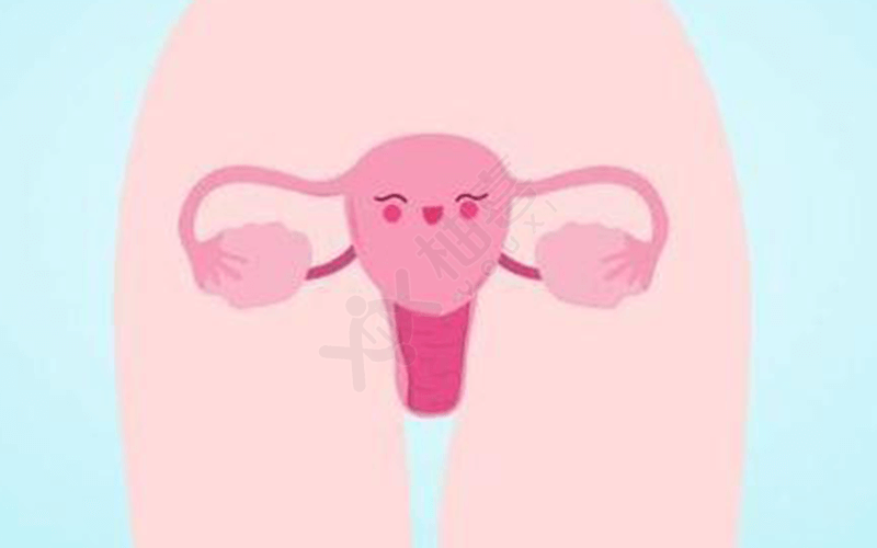 促黄体生成素低会导致卵巢功能异常