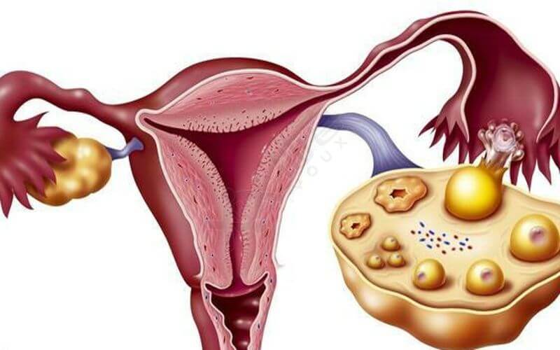 卵巢早衰女性补充雌激素能帮助怀孕