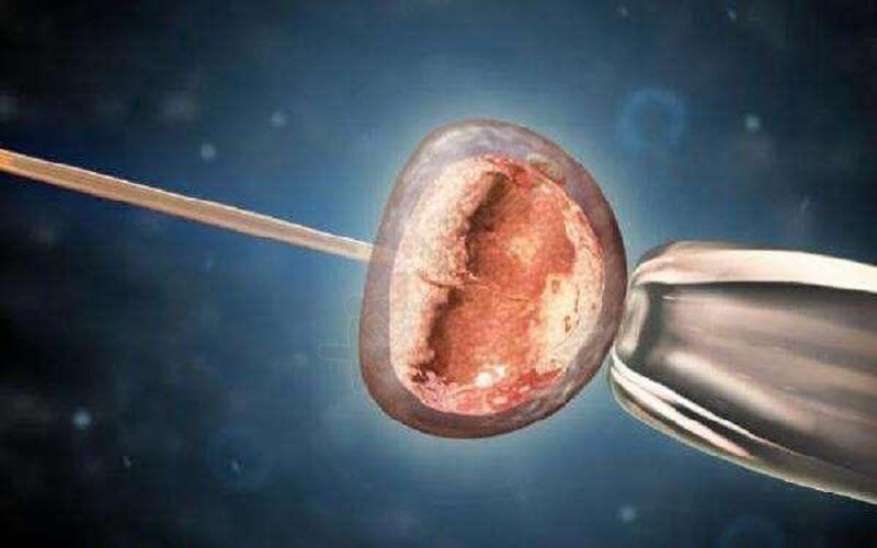 卵巢功能会影响打普丽康促排后的取卵时间