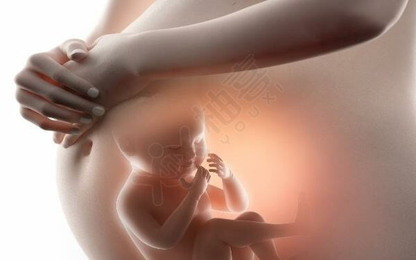 染色体异常怀孕后别急着打掉胎儿，保胎你得先弄清楚这件事