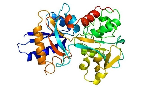 转铁蛋白阳性可不是好征兆，小心癌症找上门！