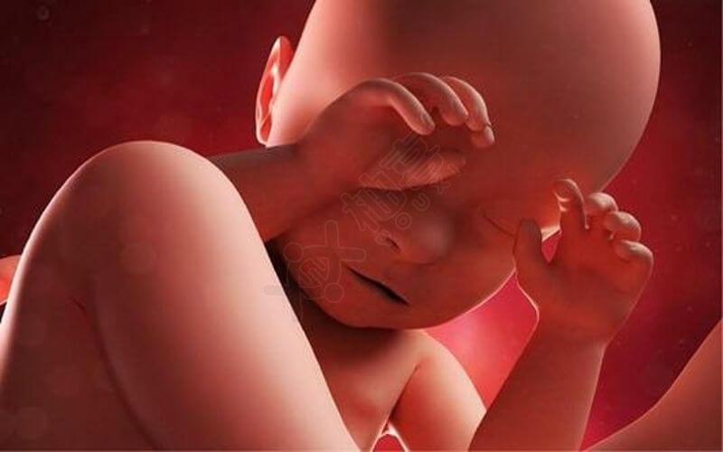 染色体异常可能在怀孕7周前出现胎停育