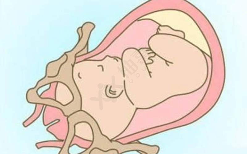 胎儿入盆是顺产过程中的第一个步骤