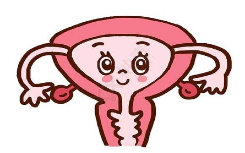 子宫受膀胱挤压导致后位