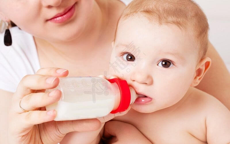 贝拉米有机奶粉的奶源很天然