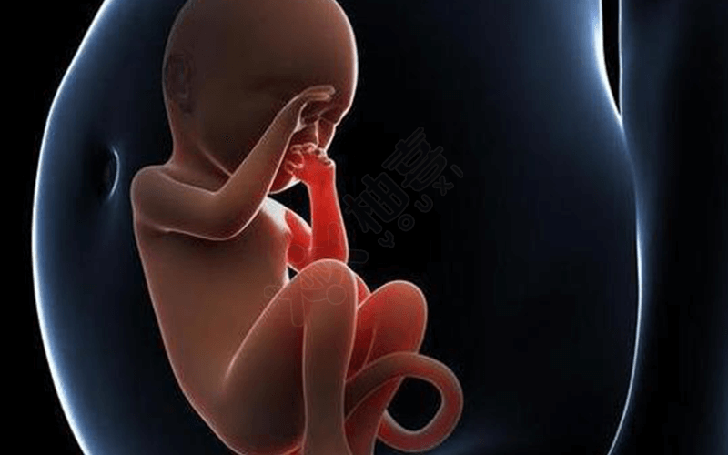 孕妇生理性贫血对胎儿的影响不大