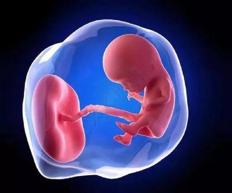 怀孕早期胎儿容易畸形