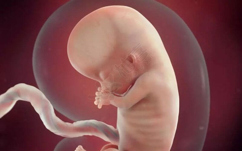孕妇感冒会影响胎儿正常发育