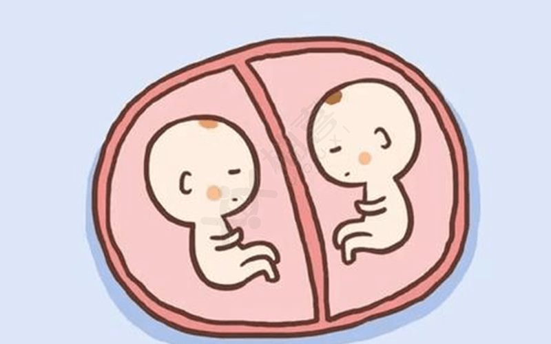 异卵双胞胎的概率比同卵小