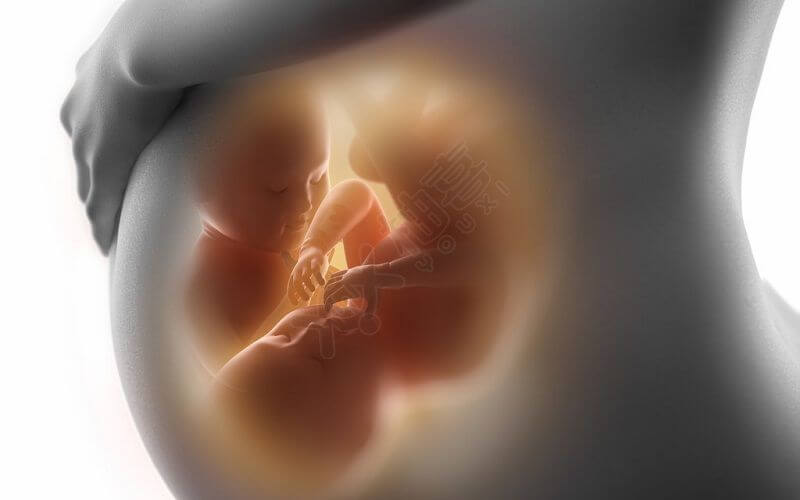 孕妇感冒后胎儿畸形的几率会变大