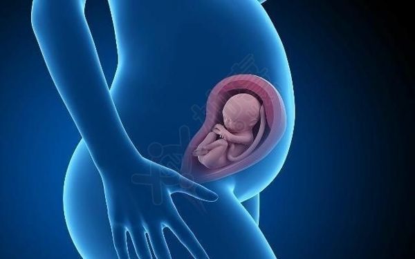 胎儿性别试纸准确率有限，别掉进99%验尿知男女的坑