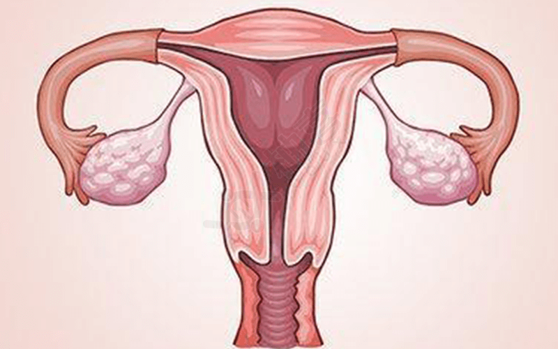 排卵期同房后出血的原因是子宫问题