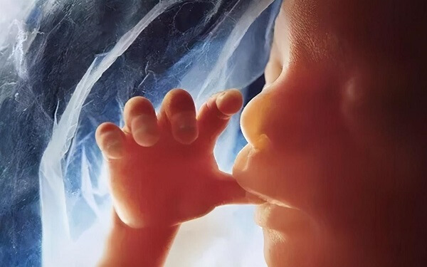 孕期女性请收藏!3个原因分析胎儿为何水肿