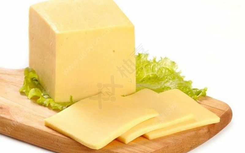 奶酪是含钙最多的奶制品