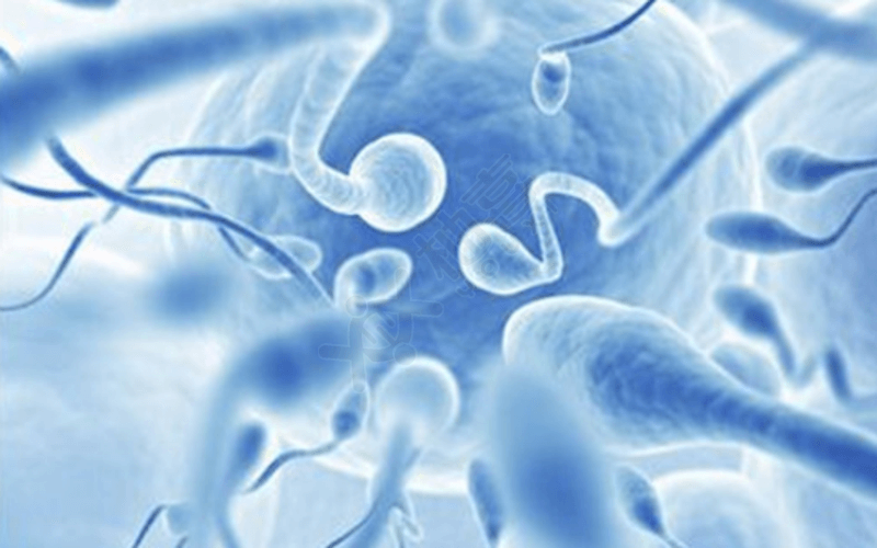 精子活力低可能导致不孕症