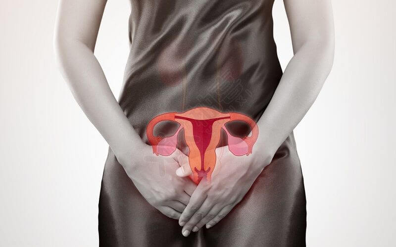 输卵管切除对女性的健康影响不大
