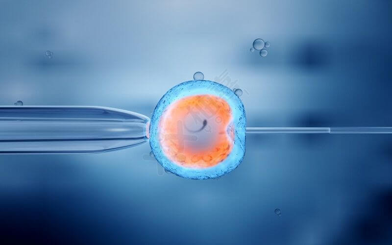 体外受精也可以达到生育的目的