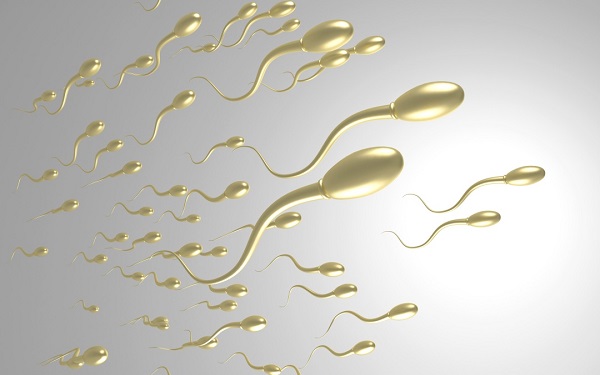 畸形精子能不能受孕不重要，这5种孕后结果才令人痛心