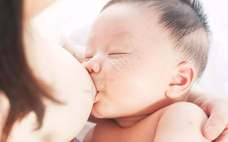 怀孕会导致哺乳期女性乳汁减少