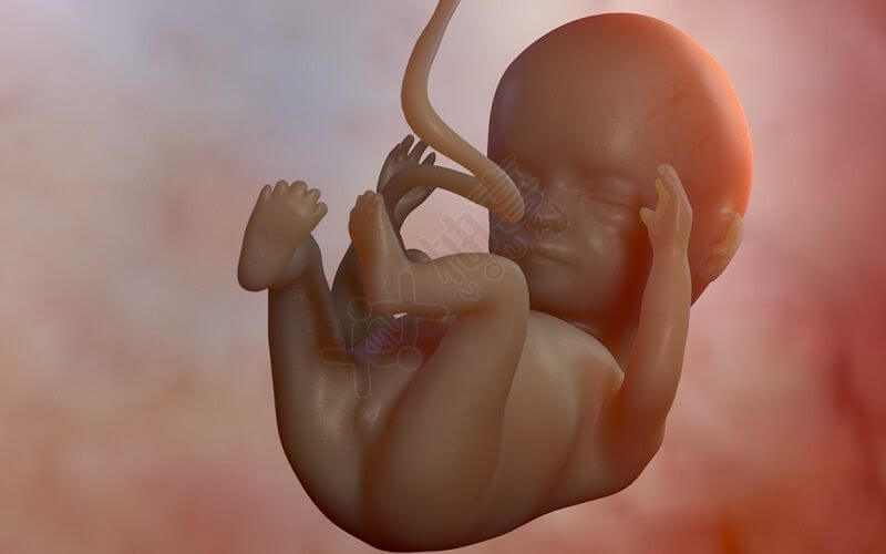 畸形精子受孕后的宝宝要不要需看发育情况