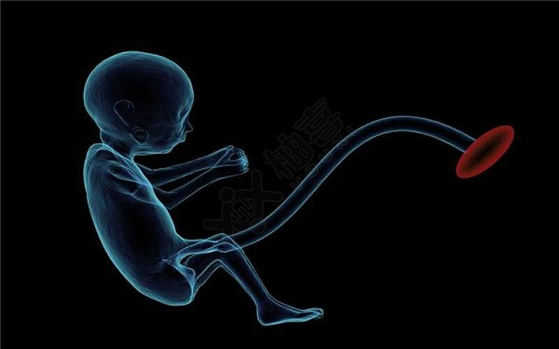 染色体异常可能引起胎儿流产