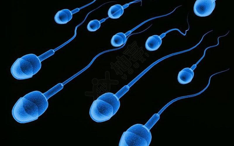 畸形精子也可成功受孕