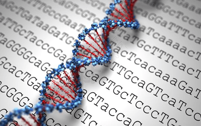 染色体检查能够筛查遗传疾病