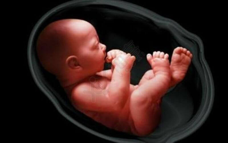 孕妇长期使用皮炎平会影响胎儿