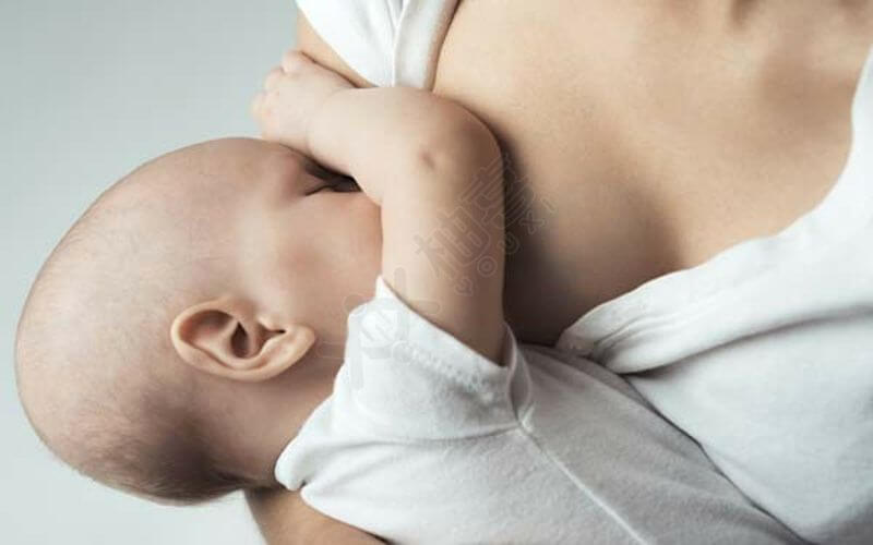 停用早产奶粉要注意宝宝消化情况