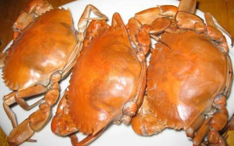孕妇吃螃蟹可能会引起流产