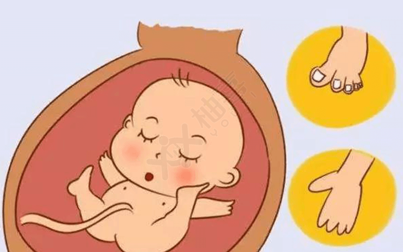 孕妇使用暖宝宝可能造成胎儿畸形