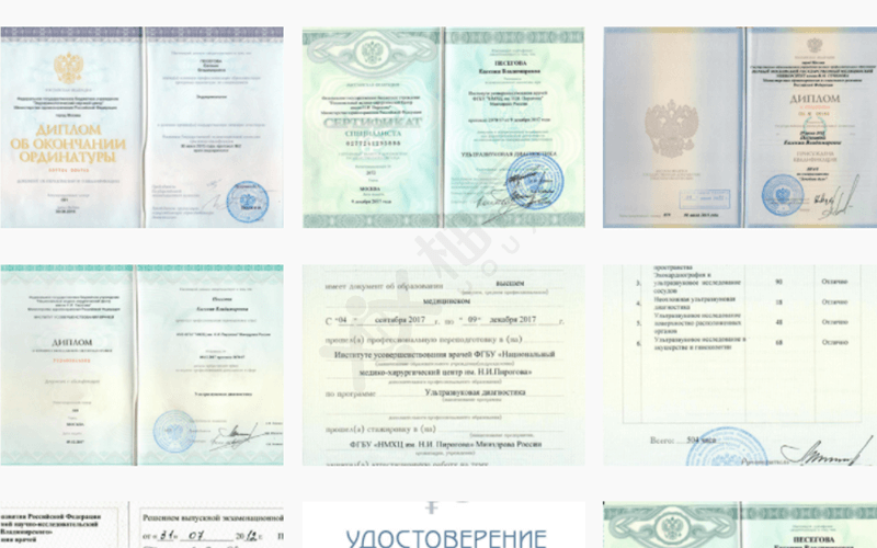 佩塞戈娃医生获得过很多证书