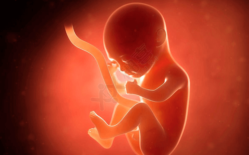 孕妇用防晒霜会影响胎儿发育