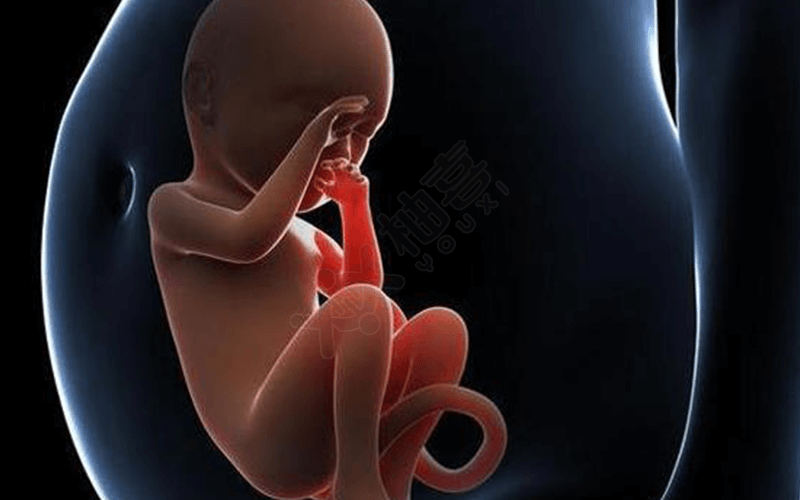 孕妇用热水袋会对胎儿造成影响