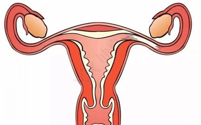 宫外孕保守治疗可以保护女性输卵管