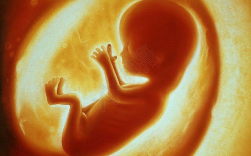 胎盘前置容易导致胎盘剥离威胁胎儿生命