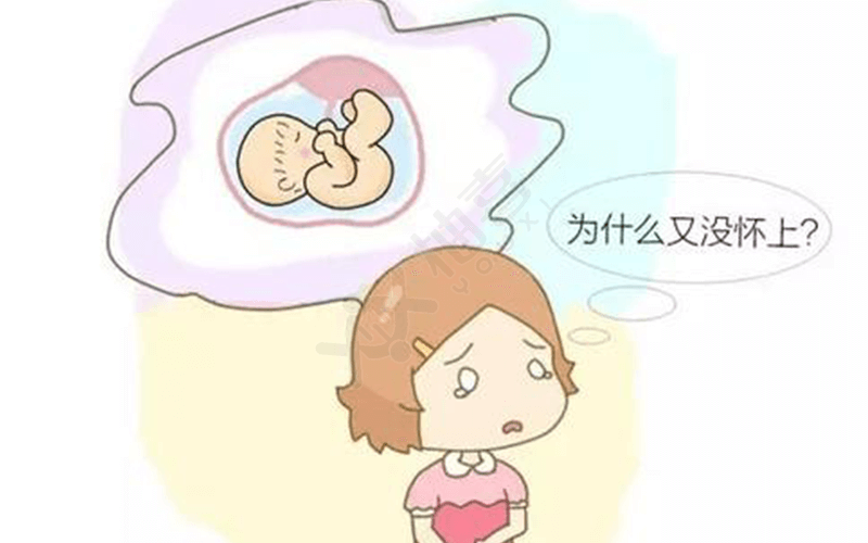盆腔粘连对女性怀孕的影响很大