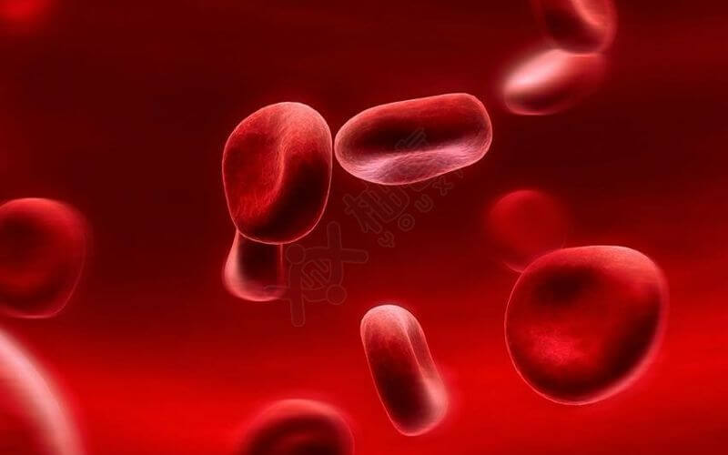 脐带血含有大量造血干细胞